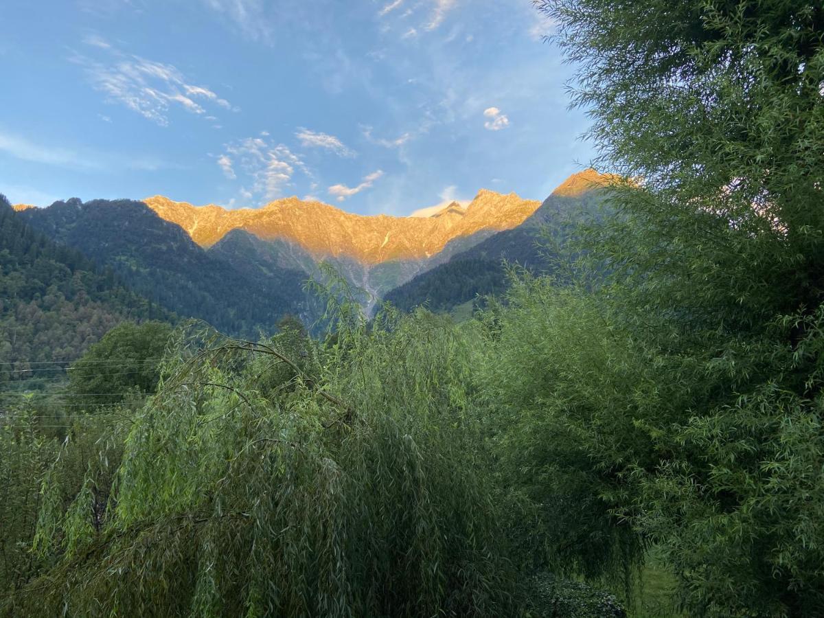 Solang Valley Resort มะนาลี ภายนอก รูปภาพ