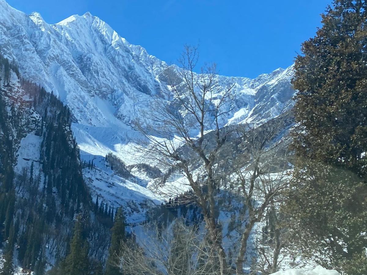 Solang Valley Resort มะนาลี ภายนอก รูปภาพ