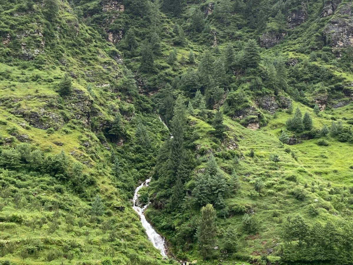 Solang Valley Resort มะนาลี ภายนอก รูปภาพ